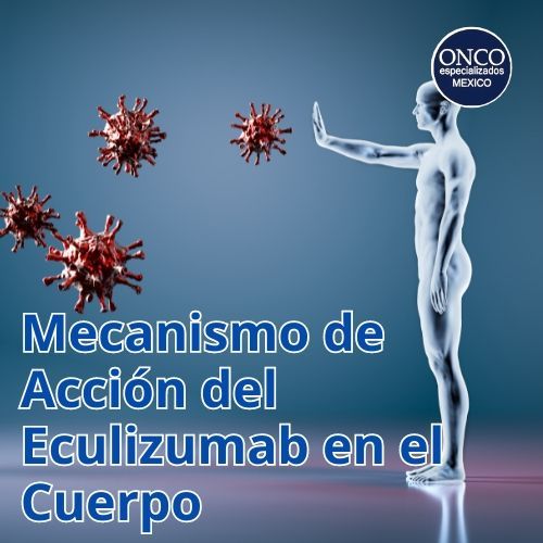 Ilustración de un cuerpo humano bloqueando patógenos, representando el mecanismo de acción del Eculizumab