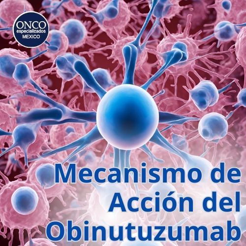 Diagrama explicativo que muestra cómo obinutuzumab se une al antígeno CD20 en células B para combatir el cáncer.