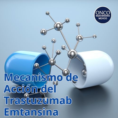 Trastuzumab Emtansina actúa específicamente en las células HER2 positivas.