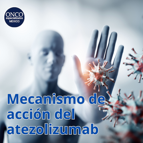 Mano y moléculas mostrando acción del atezolizumab