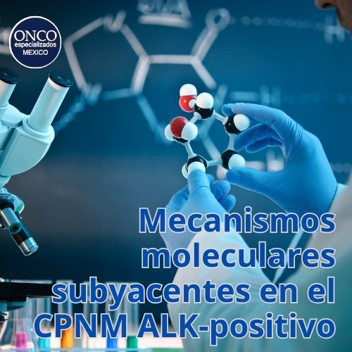 Modelo molecular del CPNM ALK-positivo.