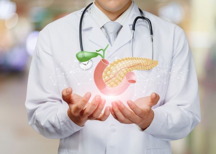 imagen de un medico con un pancreas