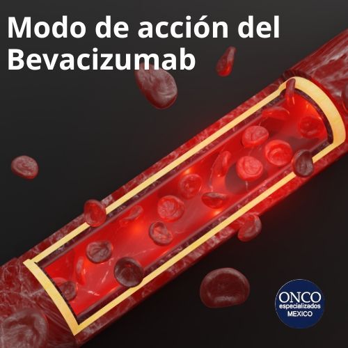 Explicación sobre cómo Bevacizumab actúa a nivel molecular para inhibir la angiogénesis tumoral.