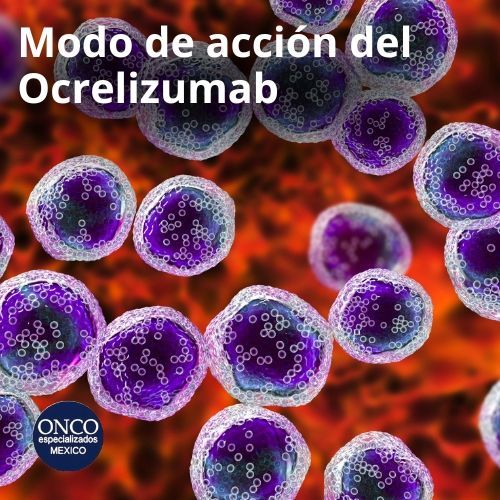  Explicación del funcionamiento del Ocrelizumab.