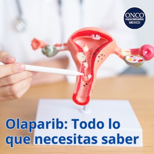 Modelo del sistema reproductor femenino y Olaparib.