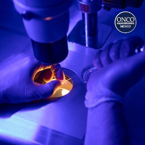 Muestras analizadas bajo un microscopio clínico.