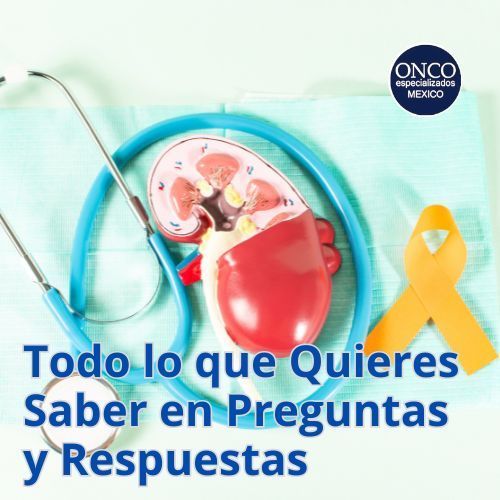 Modelo de riñón con estetoscopio y listón amarillo, símbolo de conciencia médica.