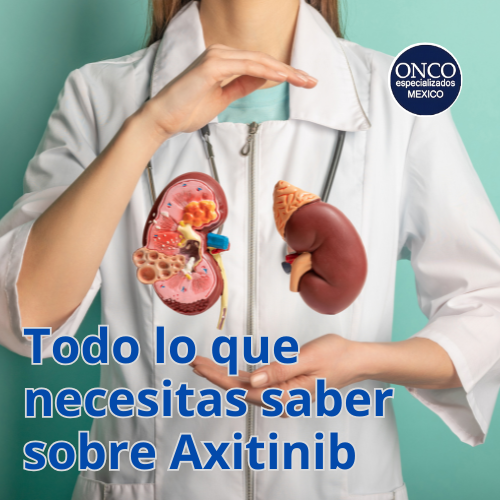 Médico con modelos de riñones explicando sobre axitinib.