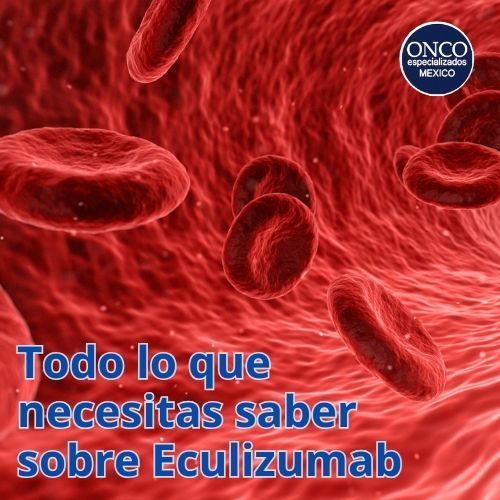 Células sanguíneas vistas en detalle, relacionadas con eculizumab.