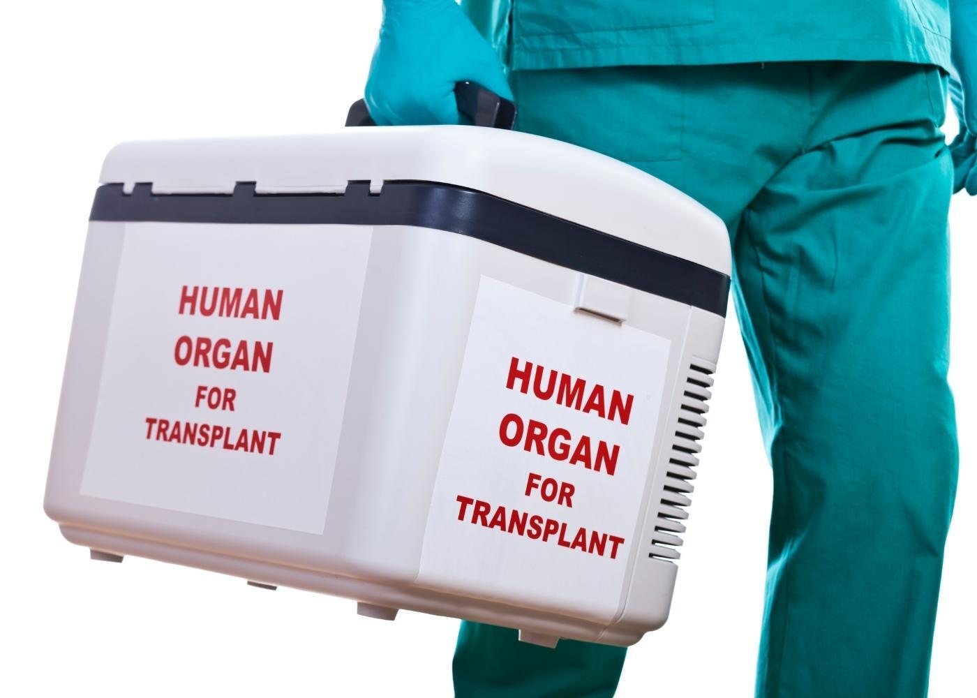 Trasplantes de Organos alta especialidad
