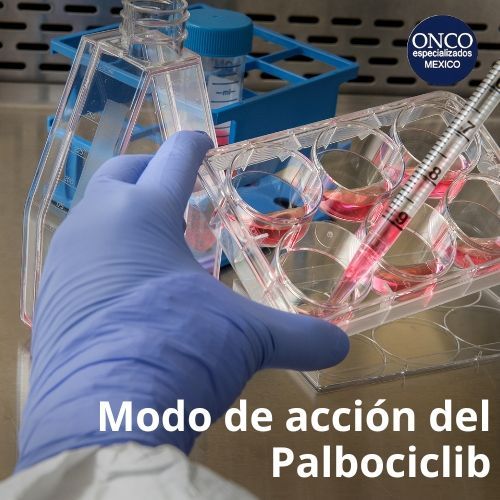 Explicación sobre cómo Palbociclib actúa a nivel molecular para inhibir el crecimiento de células cancerosas.