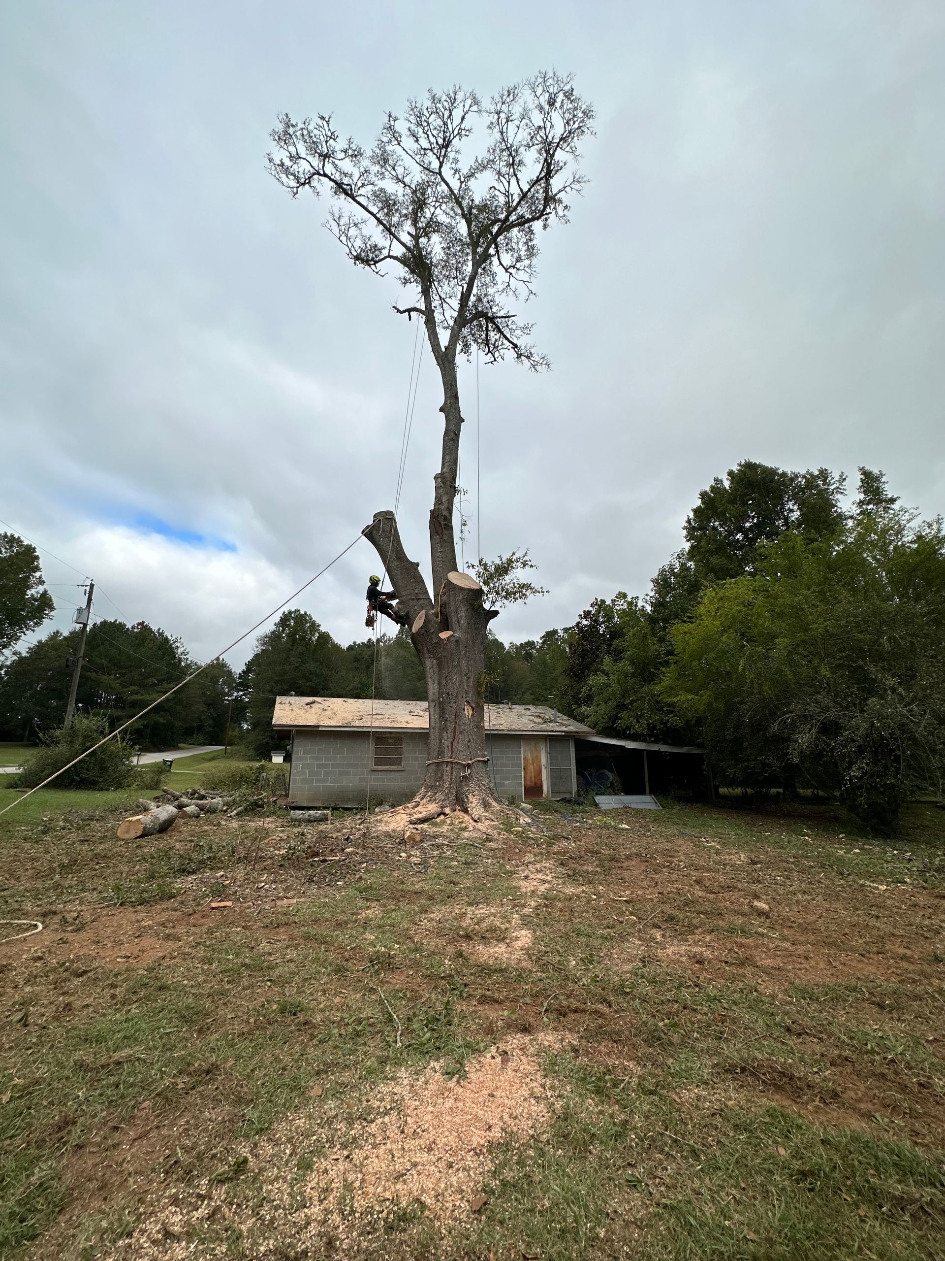 Full View — LaGrange, GA — Advance Tree Removal and Land Management