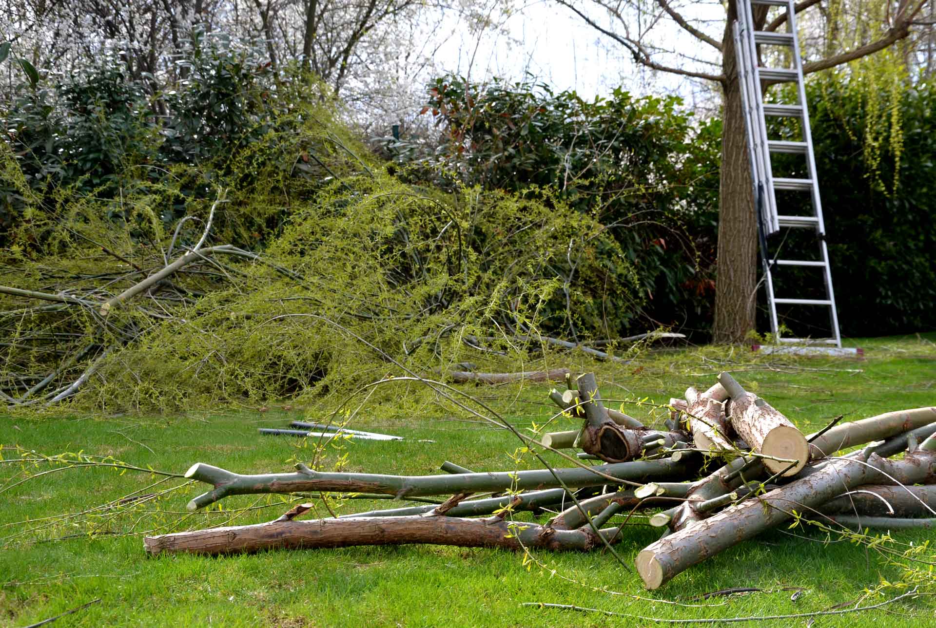 Debris Cleaning — LaGrange, GA — Advance Tree Removal and Land Management