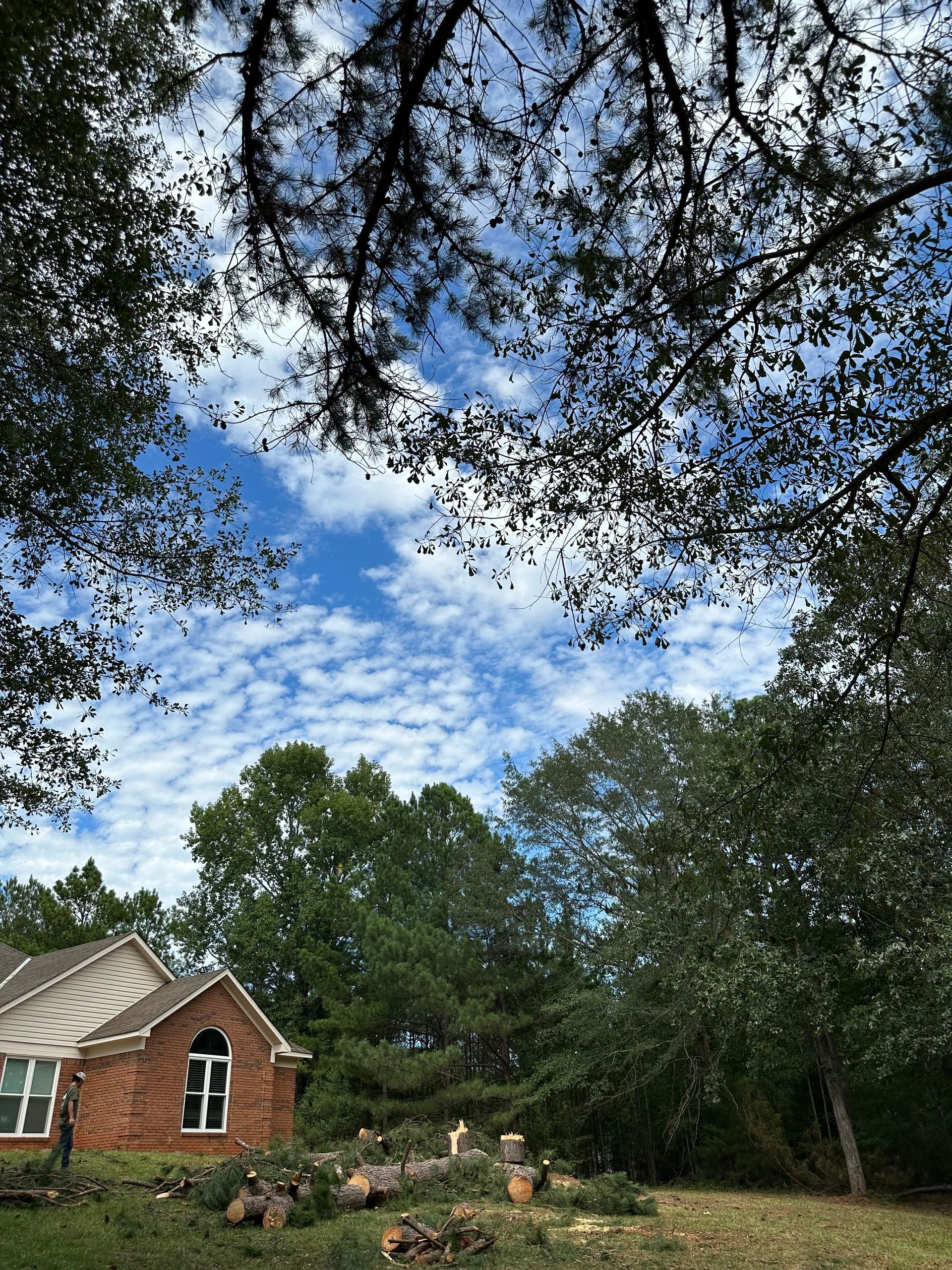 Tree Trimming And Removal Services — LaGrange, GA — Advance Tree Removal and Land Management