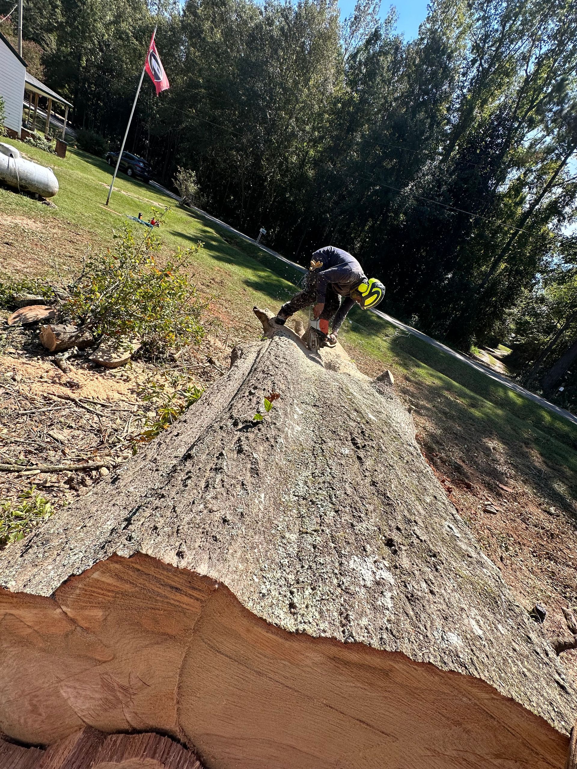 Cutting Massive Logs — LaGrange, GA — Advance Tree Removal and Land Management