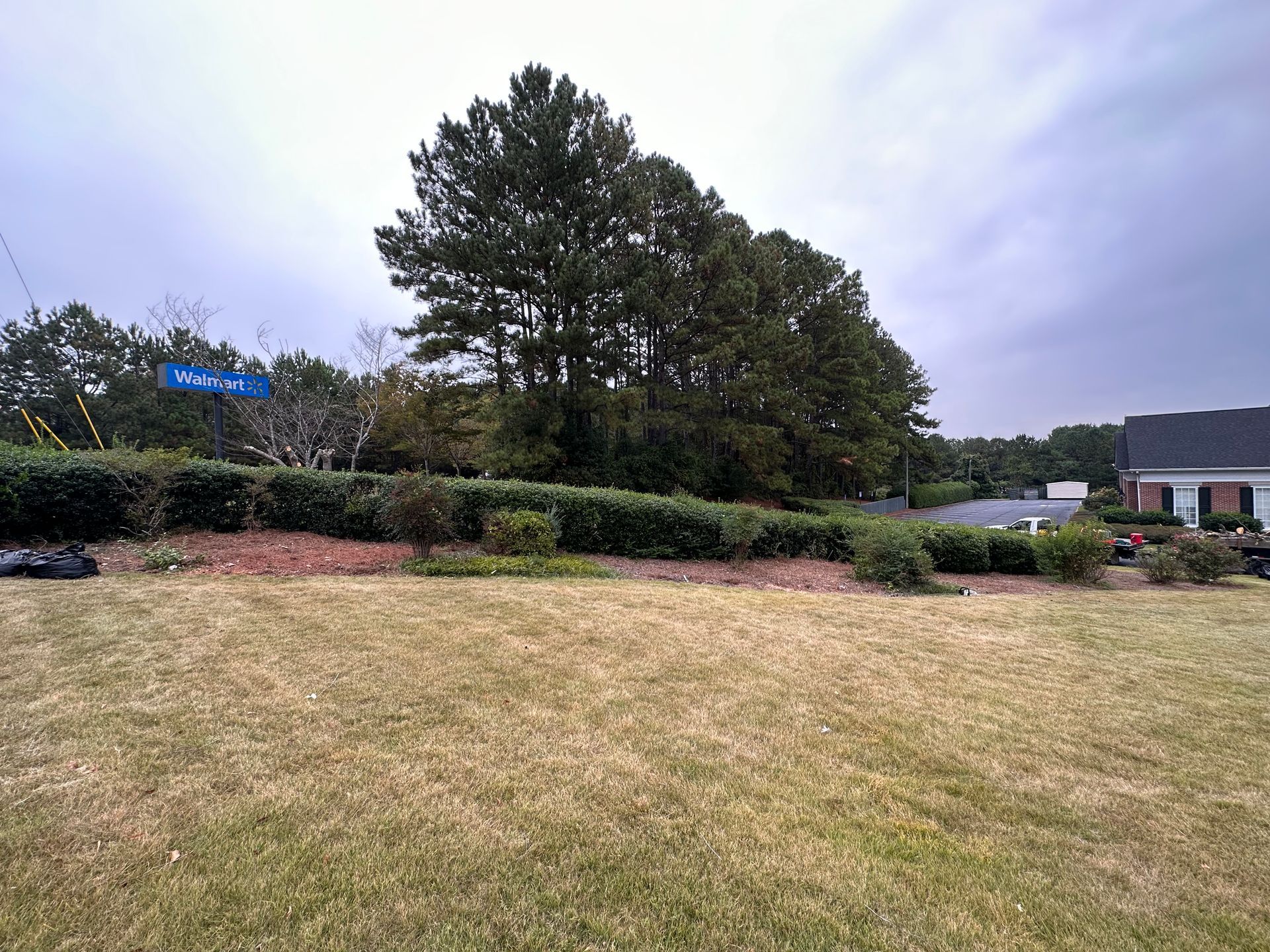 Shades of Dry Lawn — LaGrange, GA — Advance Tree Removal and Land Management