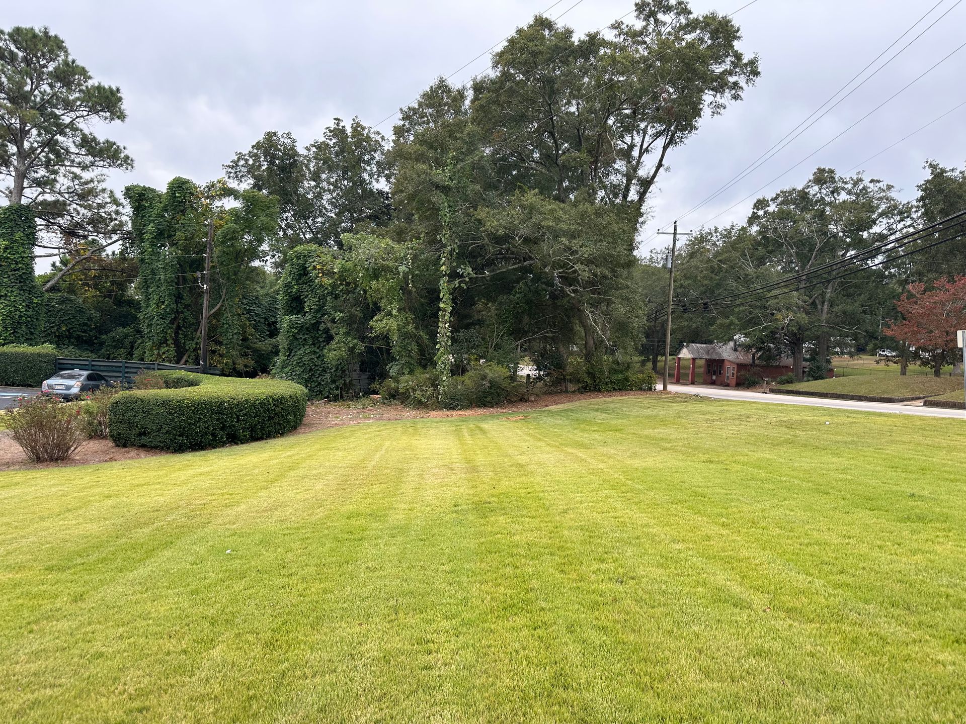 Shades of Green Lawn — LaGrange, GA — Advance Tree Removal and Land Management