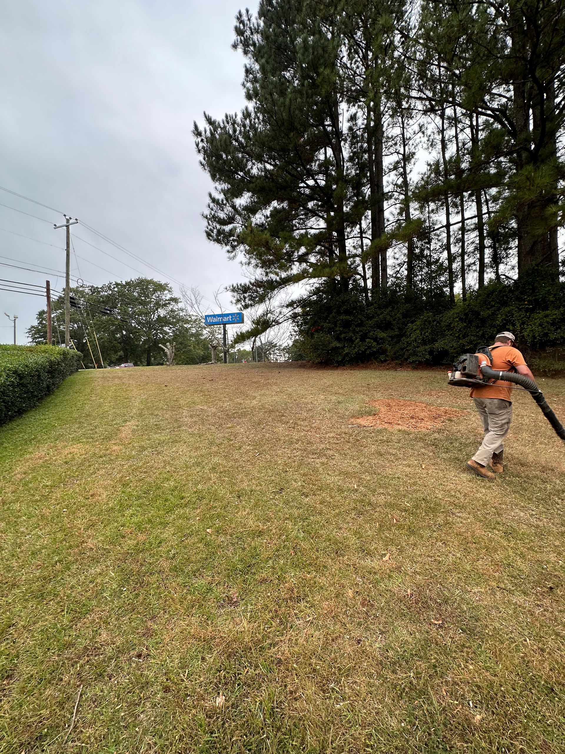 Lot Clearing — LaGrange, GA — Advance Tree Removal and Land Management