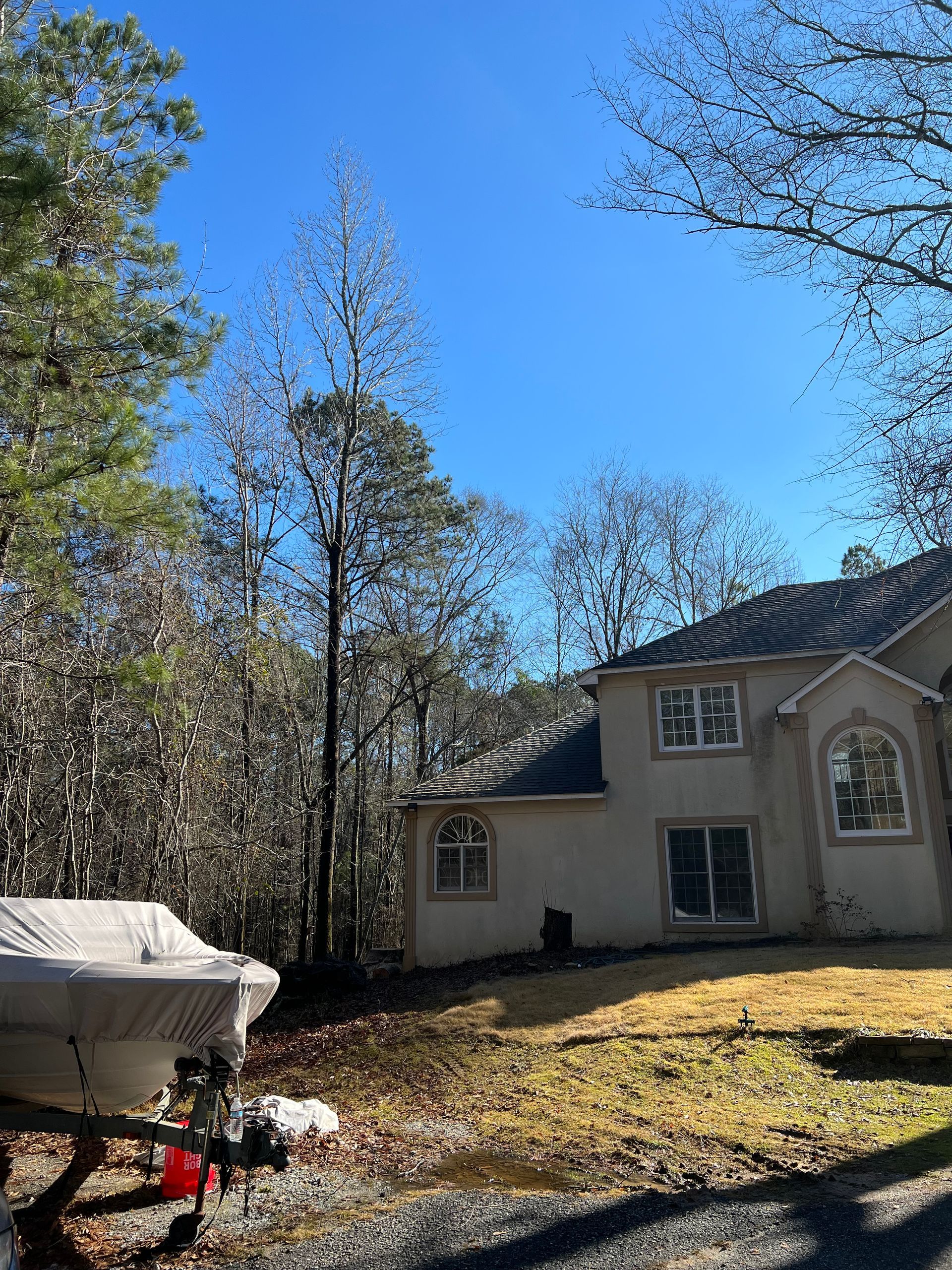 Home Backyard Trees — LaGrange, GA — Advance Tree Removal and Land Management