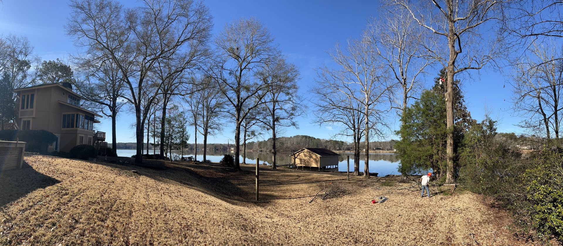 Arborists Pruning Trees — LaGrange, GA — Advance Tree Removal and Land Management