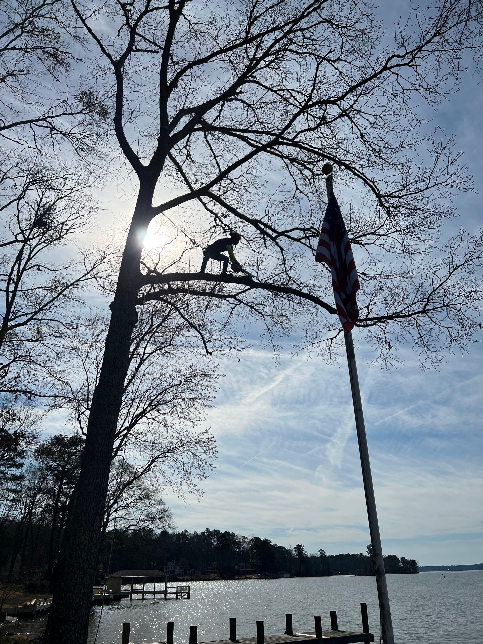 Arborist on Tree Branch — LaGrange, GA — Advance Tree Removal and Land Management