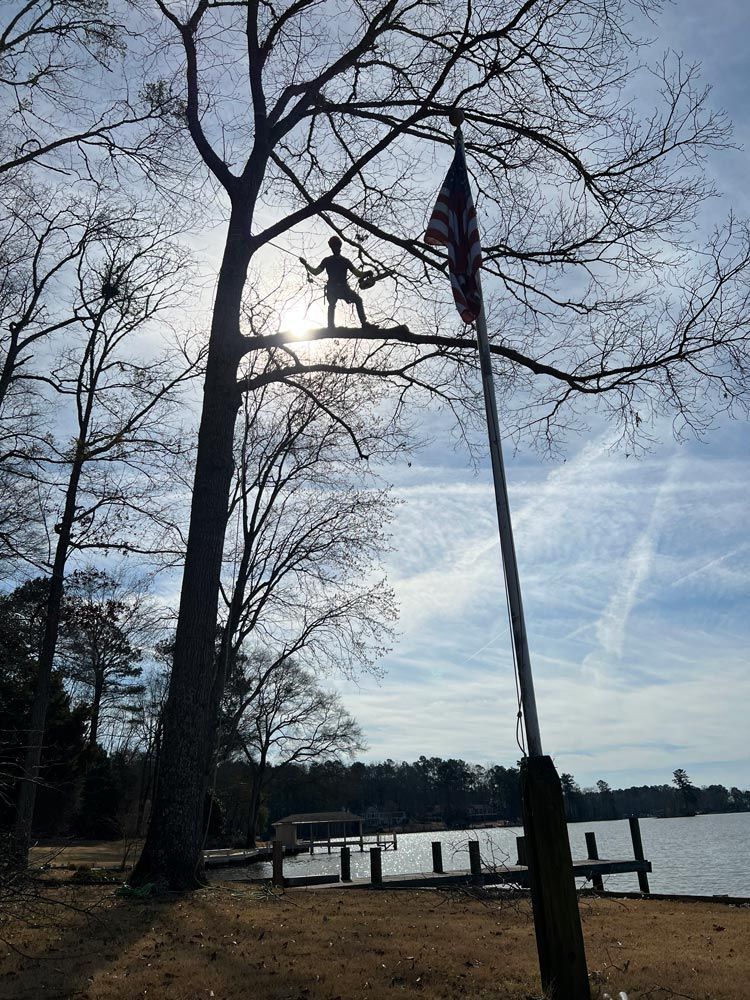 Gallery #18 — LaGrange, GA — Advance Tree Removal and Land Management
