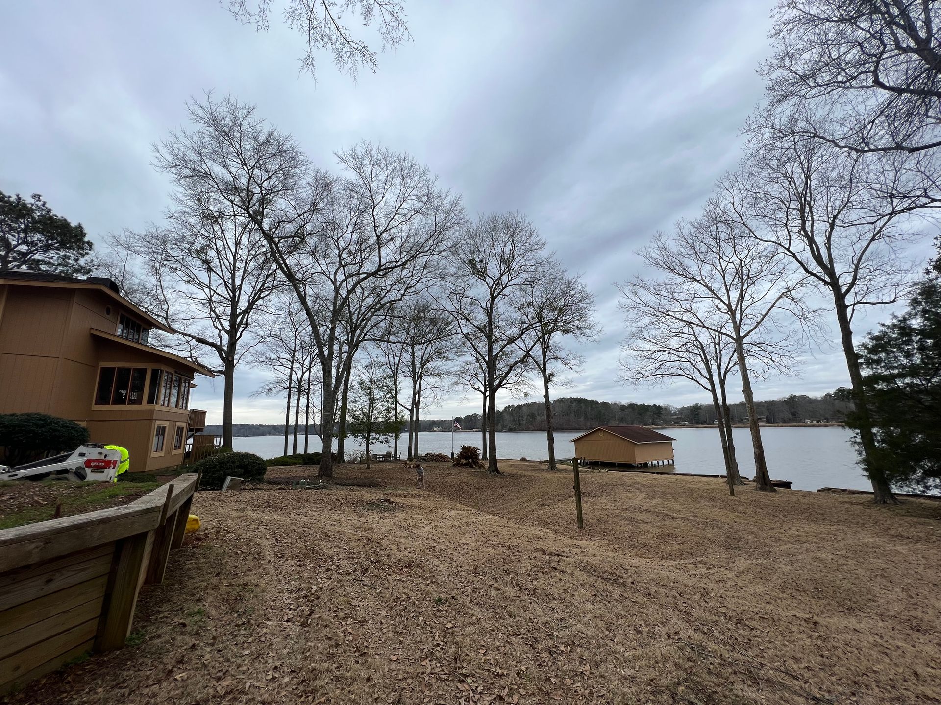 Backyard Trees — LaGrange, GA — Advance Tree Removal and Land Management