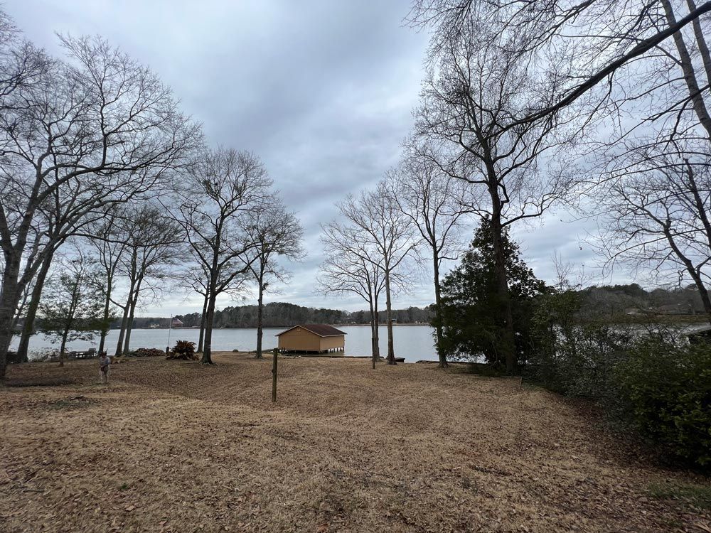 Gallery #19 — LaGrange, GA — Advance Tree Removal and Land Management