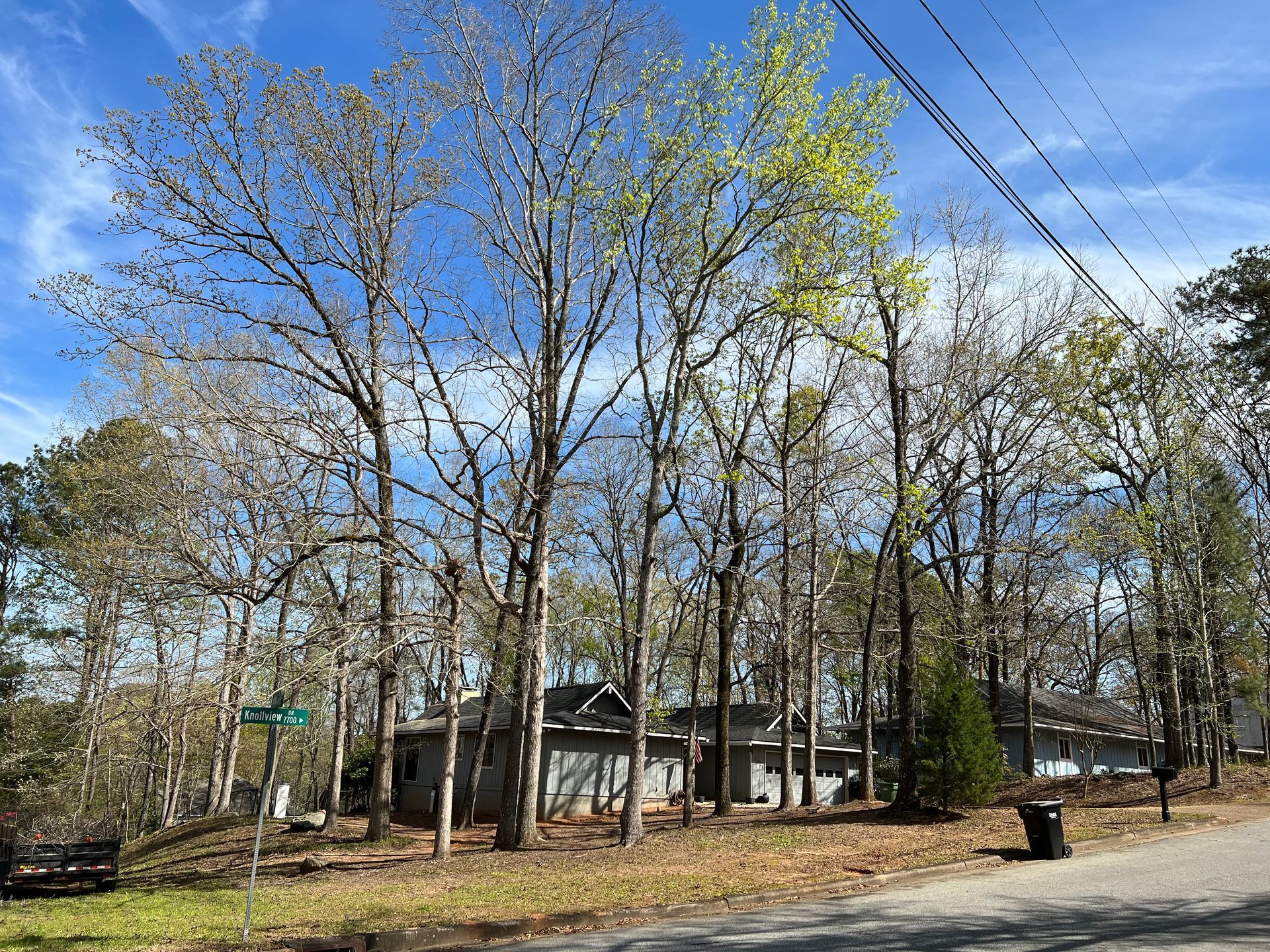 Gallery #21 — LaGrange, GA — Advance Tree Removal and Land Management