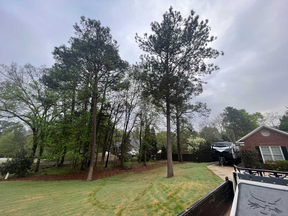Gallery #3 — LaGrange, GA — Advance Tree Removal and Land Management