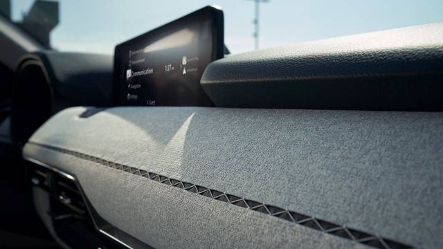 INTERIOR FEATURES KAKENUI STITCHING