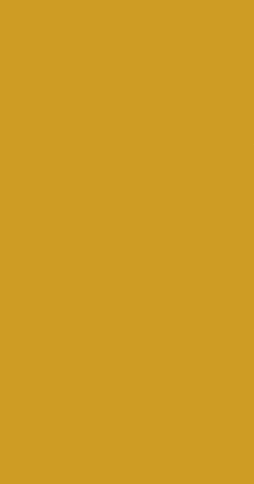 Solid mustard-colored background.