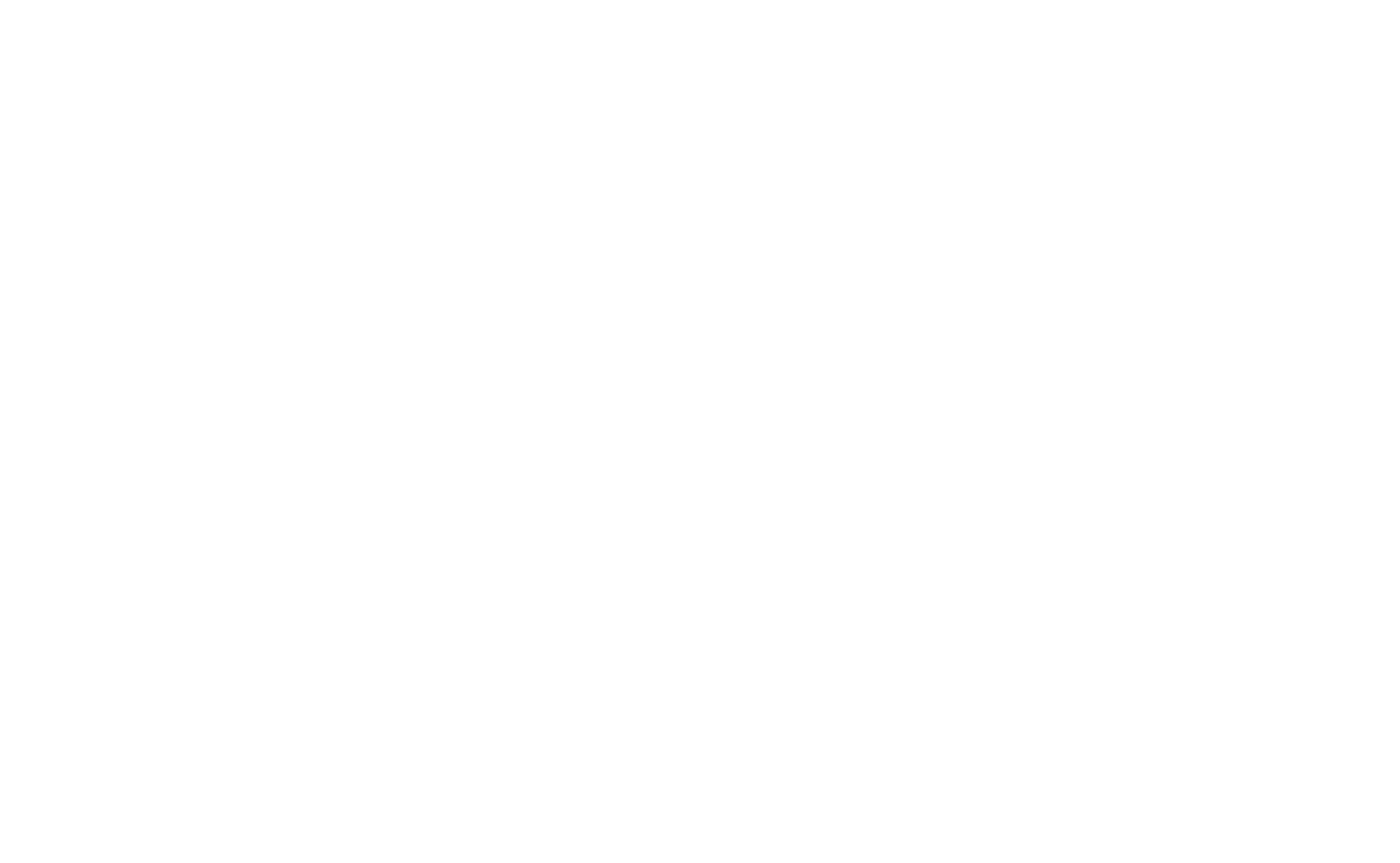 True Light Properties Logo - White - Click to return to the homepage