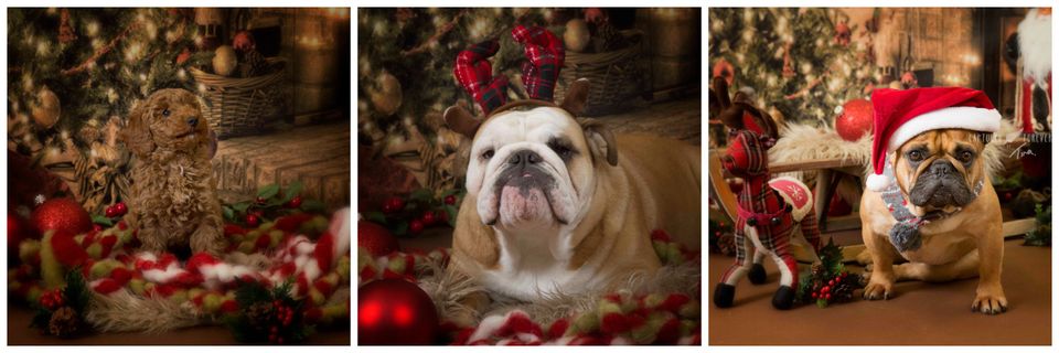 Christmas photoshoots – why so early?