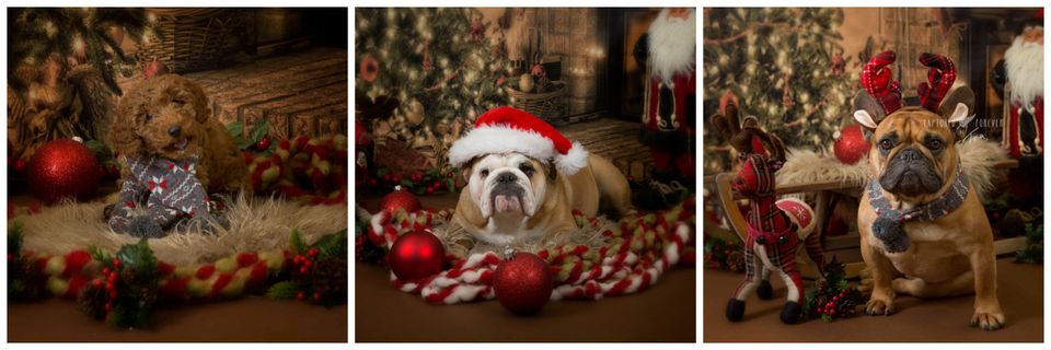 Christmas photoshoots – why so early?