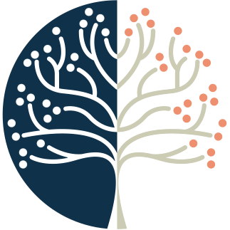 A tree with half of it without leaves and the other half with leaves and berries.