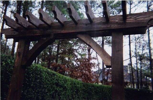 A wooden pergola in the middle of a forest