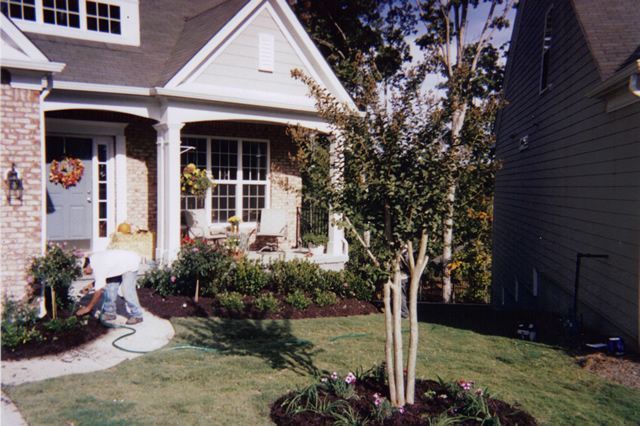 A house with a lawn and trees in front of it