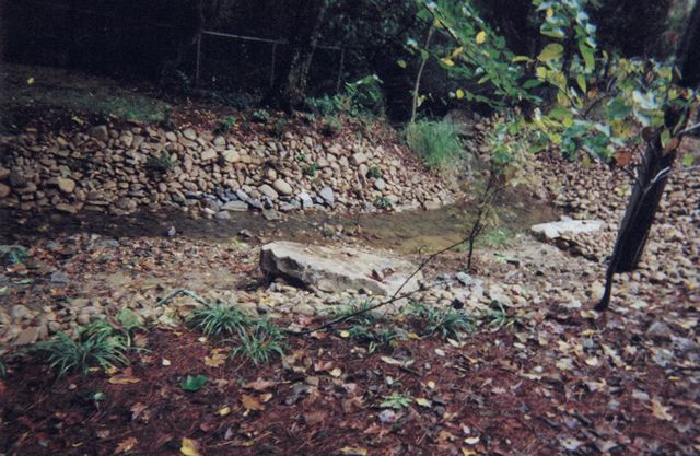A stream running through a forest with rocks and leaves on the ground