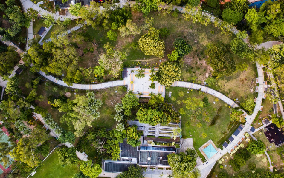 Residential landscaping project