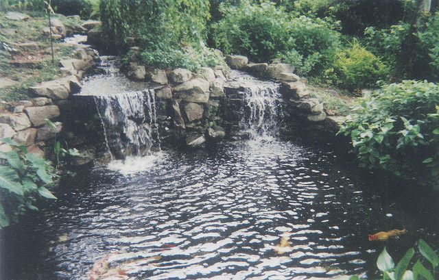 There is a waterfall in the middle of a pond with fish in it.
