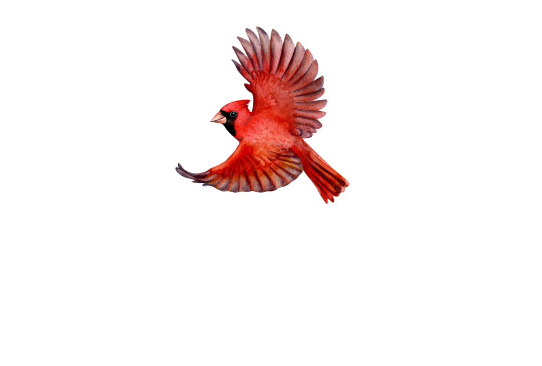 Heidi's Coffee Shoppe logo