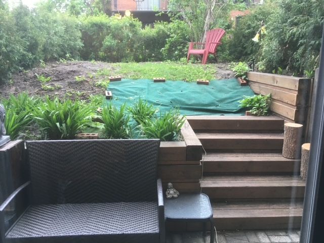 Il y a un banc et des escaliers dans la cour arrière.