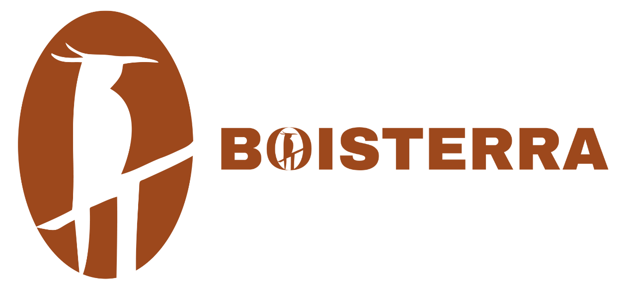 Un logo pour boisterra avec un oiseau dans un cercle.