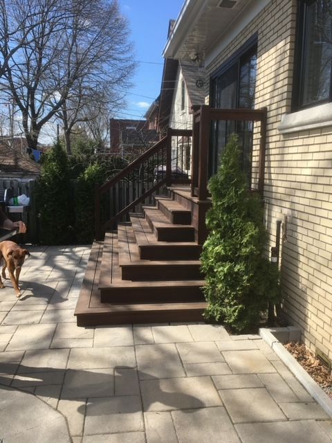 Un chien debout sur une terrasse à côté d'un escalier