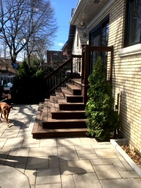 Un chien debout sur une terrasse à côté d'un escalier