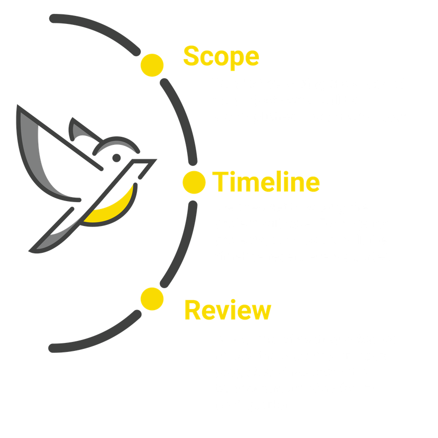 Infographic showing the process of setting the scope and timeline of each project, followed by quarterly reviews. .