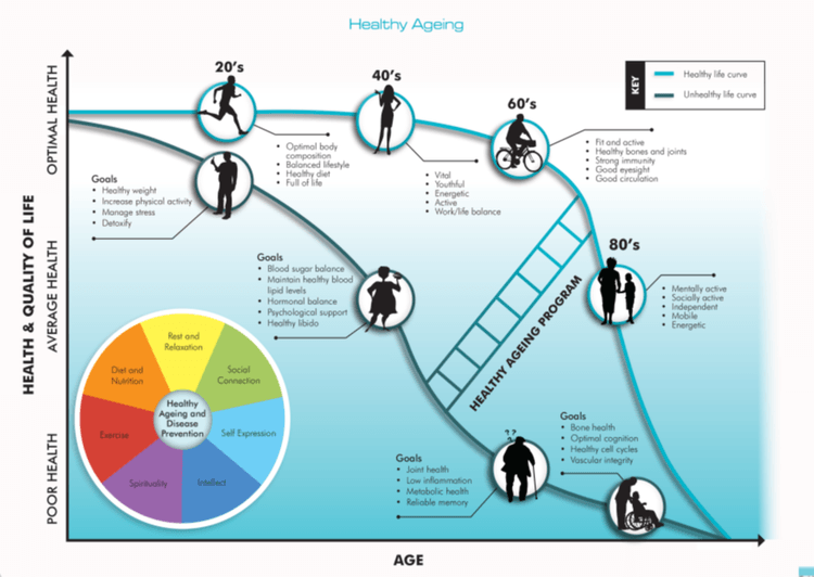 Health Quality Life Chart — Penrith, NSW — Abundant Life & Health