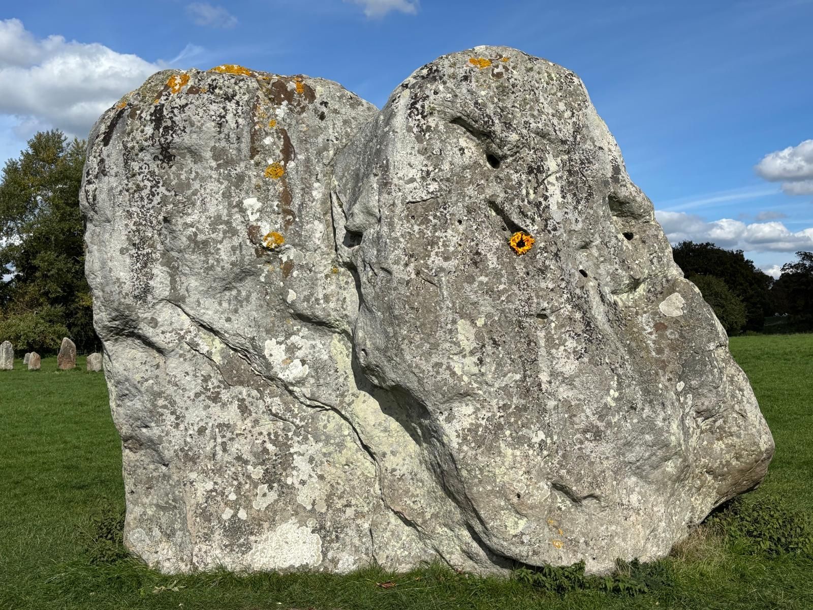 Avebury Stones 