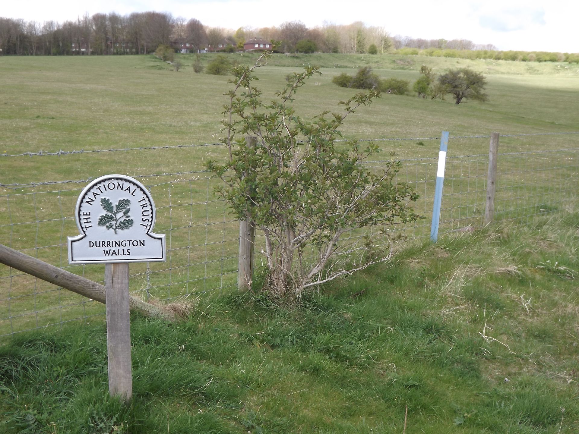 Avebury Stone Circle